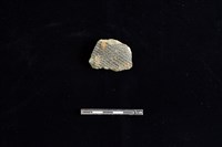 藏品(陶片)的圖片